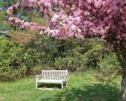 The garden has a collection of about 1700 types of The garden has a collection of about 1700 types of trees and shrubs. Its collection includes plants like crab apple, Maple, conifer, and birch. Flower